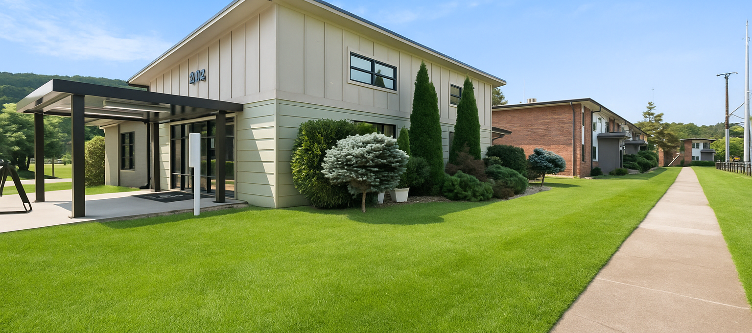 a large white house with a tree in front of it